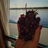 Речной круиз из Нижнего Новгорода. Теплоход Иван Кулибин, июль 2024, 4