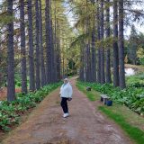 Речной круиз из Москвы. Теплоход Русь Великая, сентябрь 2025, 10