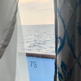 Речной круиз из Санкт-Петербурга. Теплоход Н.В. Гоголь, май 2025, 4