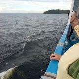 Речной круиз из Санкт-Петербурга. Теплоход Юрий Андропов, июнь 2024, 2
