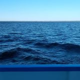 Речной круиз из Саратова. Теплоход Семен Буденный, сентябрь 2025, 1