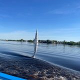 Речной круиз из Санкт-Петербурга. Теплоход Генерал Лавриненков, май 2024, 2