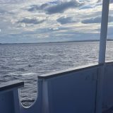 Речной круиз из Самары. Теплоход Валерий Чкалов, июнь 2024, 2