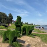 Речной круиз из Москвы. Теплоход Президент, июль 2025, 4