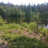 Речной круиз из Санкт-Петербурга. Теплоход Юрий Андропов, июнь 2024, 8