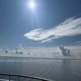 Речной круиз из Саратова. Теплоход Октябрьская Революция, август 2025, 6
