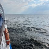 Речной круиз из Самары. Теплоход А.И. Герцен, август 2025, 4