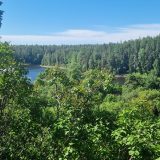 Речной круиз из Санкт-Петербурга. Теплоход Антон Чехов, июль 2026, 4