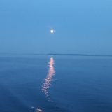Речной круиз из Саратова. Теплоход Александр Невский, июнь 2025, 6